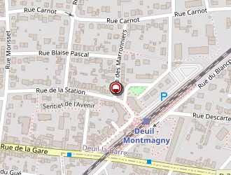 Carte de Salmon Philippe à Deuil-la-barre