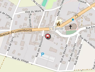 Carte de 4 Epis à Épine (l')