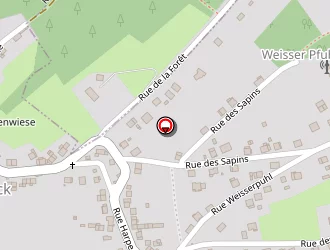 Carte de Feisthauer Yannick à Goetzenbruck