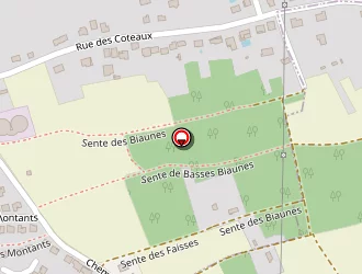 Carte de Longeault François à Chanteloup-les-vignes