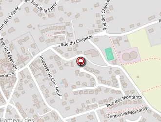 Carte de Millet Renaud à Chanteloup-les-vignes