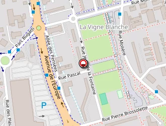 Carte de Sergent Major à Flins-sur-seine