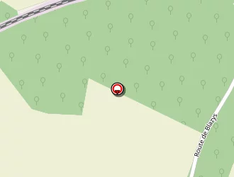 Carte de Ruivo Joâo à Luzancy