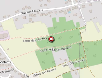 Carte de Bonnet Elec à Chanteloup-les-vignes