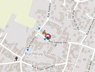 Carte de Taxi Daniel Gomes à Buchelay