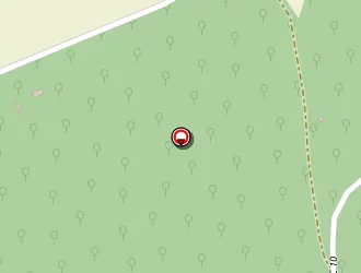 Carte de Jolivet Gilles à Chamigny