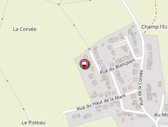 Carte de Marino Manolo à Luppy