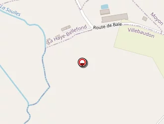 Carte de Godemer Didier à Villebaudon