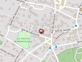 Carte de Trendsetteuse à Montmorency