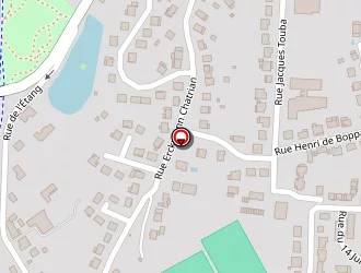 Carte de Transport Denis Muller à Sarralbe