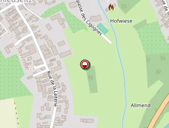 Carte de Braun René à Riedseltz