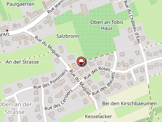 Carte de Spaeter Alain à Montbronn