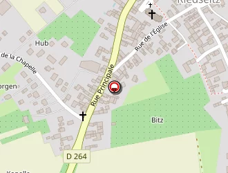 Carte de Striebig Eric à Riedseltz