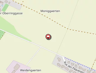 Carte de Schweitzer Yannick à Schleithal