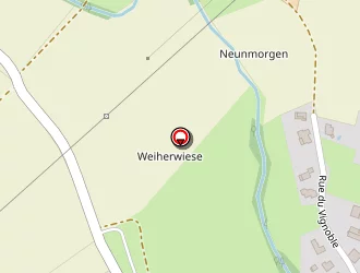 Carte de Societe Negimex à Riedseltz