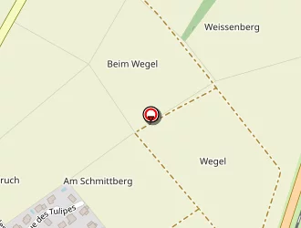 Carte de Schueller Denis à Riedseltz