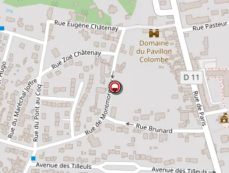 Carte de Valérie Vediaud Publicité à Saint-brice-sous-forêt