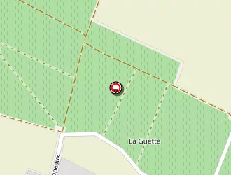 Carte de Grain De Beauté à Cuis