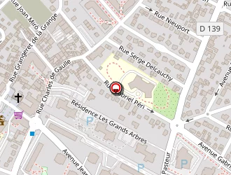 Carte de Launay Nicolas à Plessis-bouchard (le)