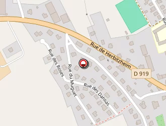 Carte de Bourger Caroline à Oermingen