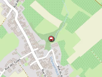 Carte de Serrurerie Strasser à Cleebourg