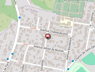 Carte de Ray Brigitte à Thillay (le)