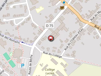 Carte de Complexe Sportif à Rémilly