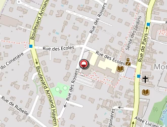 Carte de Vision Air à Montlignon