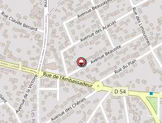 Carte de Chemane à Conflans-sainte-honorine