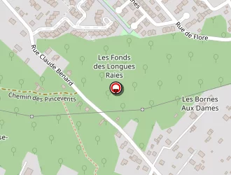 Carte de Pombo Antonio à Éragny