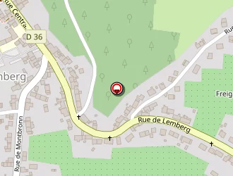 Carte de Lorrraine Services à Enchenberg