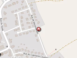 Carte de Reymann Bernard à Holving