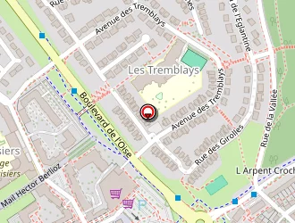 Carte de Diakite Djibi Odelice De Lautil à Jouy-le-moutier