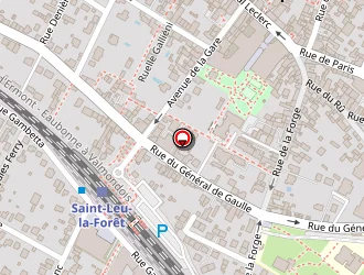 Carte de Transylvanie à Saint-leu-la-forêt