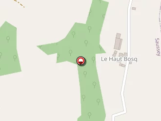 Carte de Vauvy Léo à Saussey