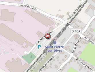 Carte de Servager Philippe à Saint-pierre-sur-dives