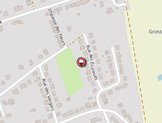 Carte de Suzen Feruzan à Willerwald