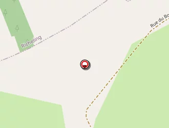 Carte de Hinschberger Marcel à Holving