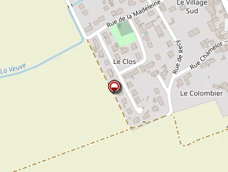 Carte de Champion Patrick à Veuve (la)