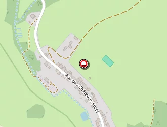 Carte de Schumacher Gilles à Wingen