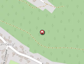 Carte de Bati Service Steiner à Lambach