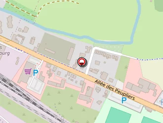 Carte de Ambulances Greiner à Wissembourg