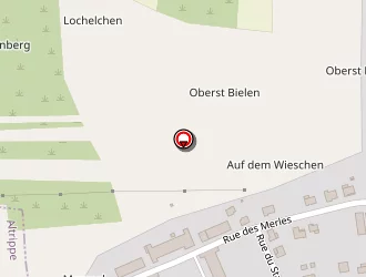 Carte de Kling Richard Andre à Leyviller