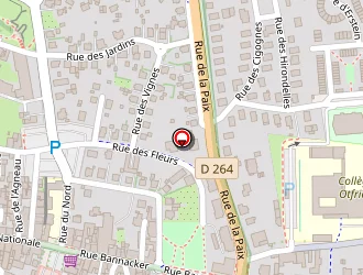 Carte de Plateau Multisports à Wissembourg