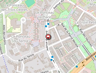 Carte de Bredy Armstrong à Cergy