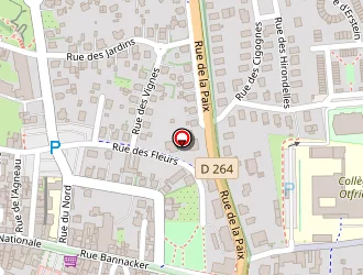 Carte de Eichler Patrick à Wissembourg