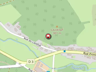 Carte de Sturtzer Pierre à Obersteinbach