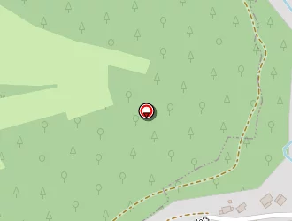 Carte de Steiner Hubert à Lambach