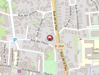 Carte de Fitline Studio à Wissembourg