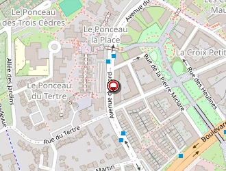 Carte de Talineau Eva à Cergy